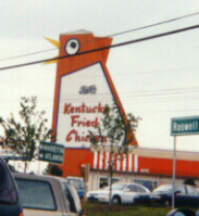 bigChikN.JPG (16134 bytes)
