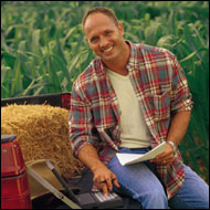 Farmer With Laptop In a Cornfield